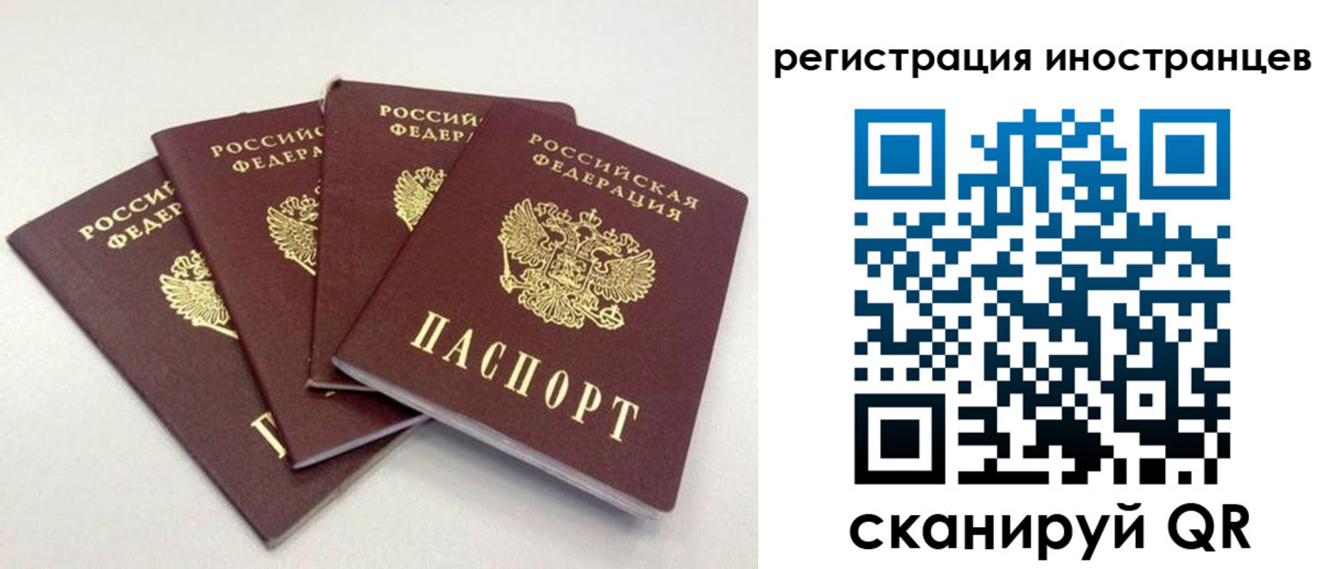 временная регистрация для школы в Приозерске